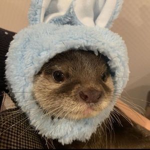 Meet your Posher, Sailesh